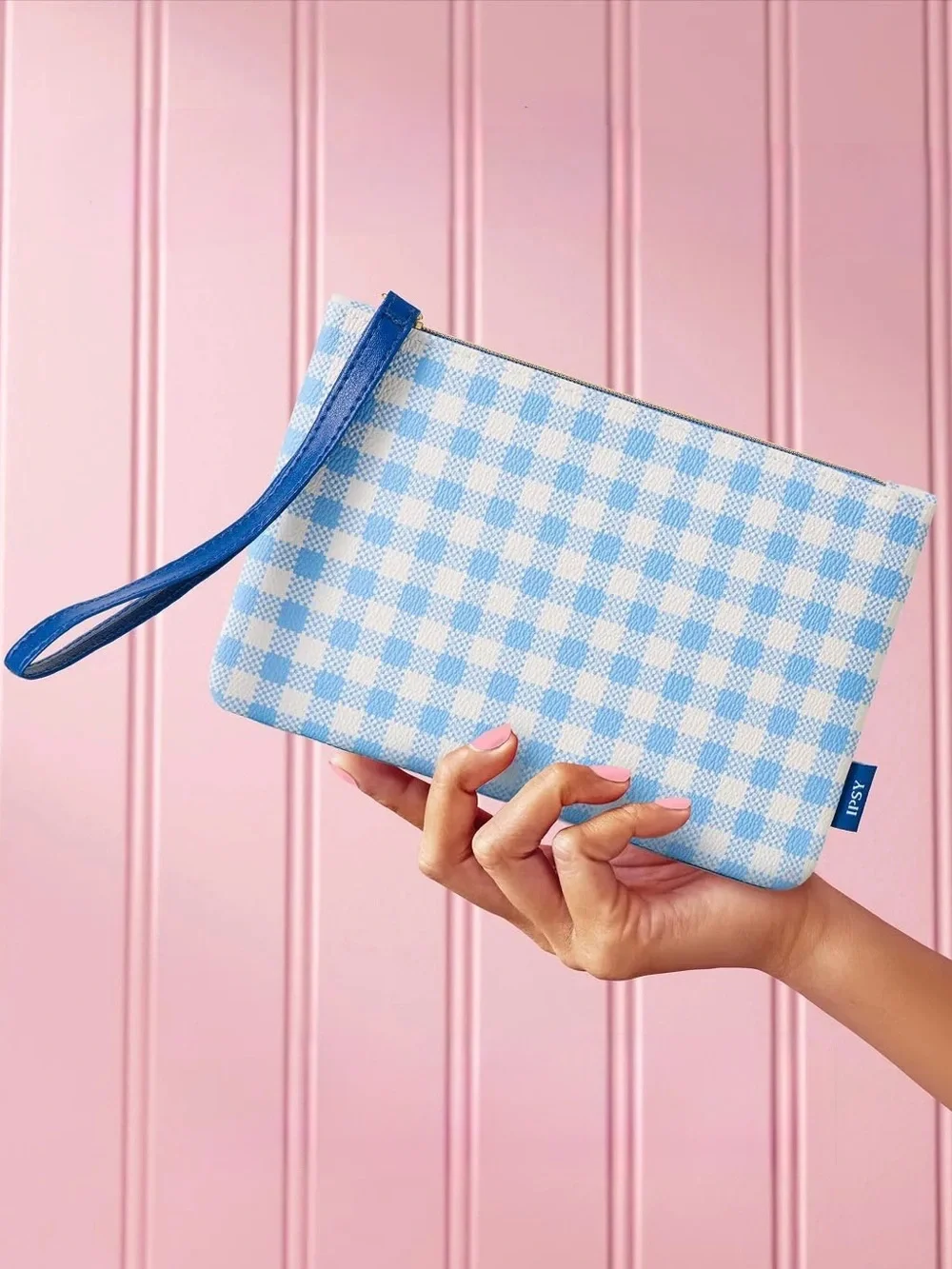 3 for $16 - NEW Ipsy Blue and White Gingham Cosmetic Bag